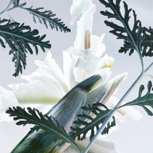 상품이미지2