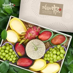 [9/21(월) 오전 9시결제건까지 명절전배송]프리미엄 에디션 과일혼합세트 2호(애플망고4+골드망고4+메론1+샤인2+용과1) 총 12과 6.7kg내외