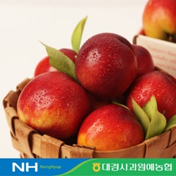 경북 영천 천도복숭아 2kg 8~12과 산지직송