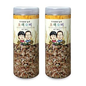 [부지런한 농부] 국내산 전남고흥군 페트용기 오색오미 800g x 2개