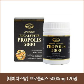 네이쳐스탑 프로폴리스 5000mg 120정