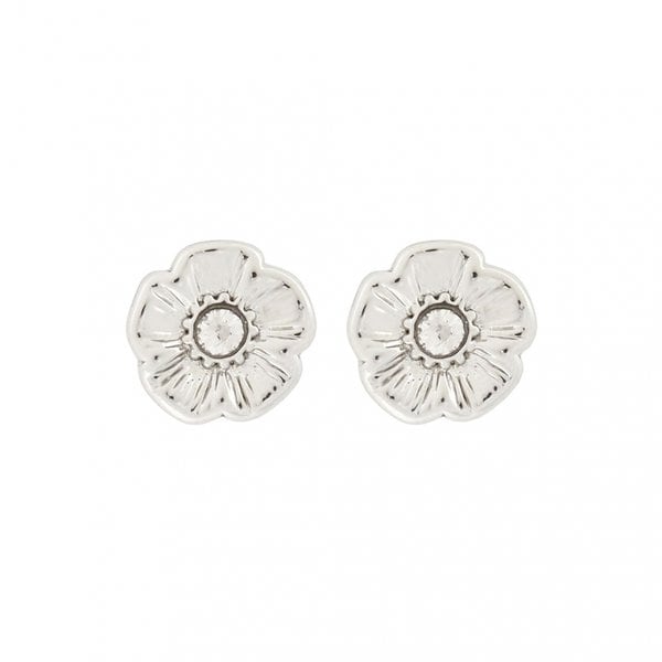 [부산점] 시그니처 티로즈 여성 귀걸이 546482 RHO 030