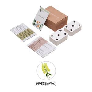 LG [공식] LG 틔운 미니용 씨앗키트 패키지 LPM24 (노란색금어초)