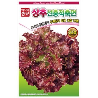 아시아종묘 상추씨앗종자 선홍적축면(3000립)