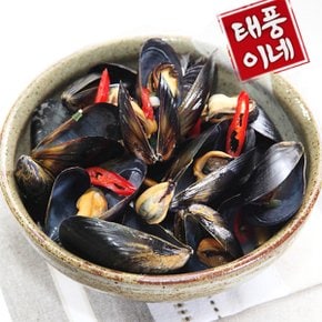 1차 손질된 생홍합 3kg(실중량)/양식장 당일 채취발송