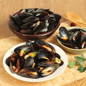 1차 손질된 생홍합 3kg(실중량)/양식장 당일 채취발송