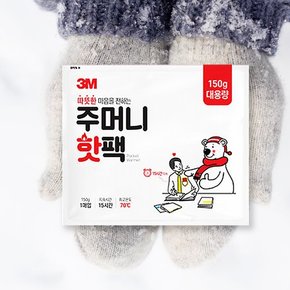 주머니 핫팩 대용량 150g 5매 5개_등산 야영 겨울 보온 손난로 휴대용