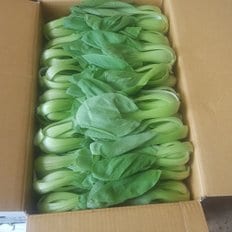 청경채 500g GAP인증