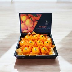 제주푸드마씸 제주 화산송이 레드향 2.7kg (선물용, 7-14과)