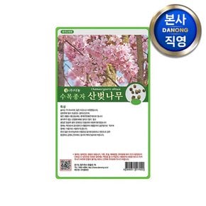 산벚 나무 (체리대목용) 씨앗 1kg . 식물 수목 씨 종자