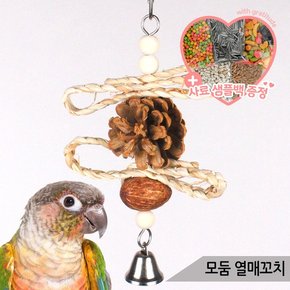 모둠 열매꼬치 앵무새 장난감 솔방울 입질 해소 05251