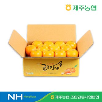  제주농협 귤로장생 천혜향 4kg 소과(20-26입)