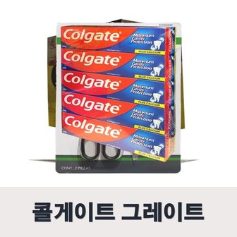  콜게이트 그레이트 레귤러치약 250g x 5개입 잇몸