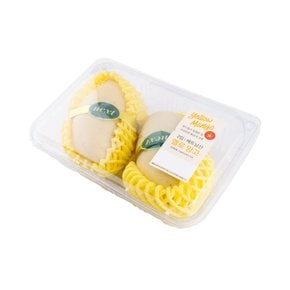 베트남산 옐로망고 700g (2입) 팩