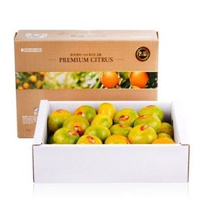 [바로배송] [농협공판장] 정성드린 제주 하우스감귤 3kg(4변과/(31-40과내)