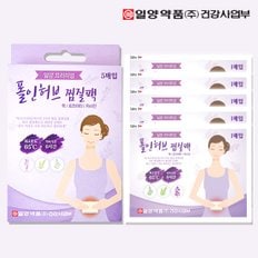 폴인허브 찜질팩 5매입