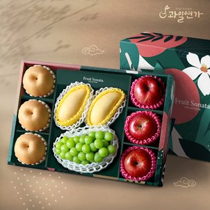 과일연가 [과일선물세트] Green 샤인망고 혼합 선물세트 (사과3개, 배3개, 샤인1송이, 망고2개)