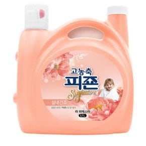 피죤 고농축피죤 시그니처 실내건조 5.7L 라피에스타