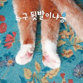 누구 뒷발이냐옹 - 마성의 고양이 앞발 사진집 3