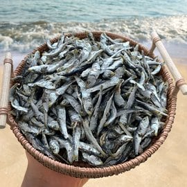  바다어보 남해안 햇 건 정어리 500g 청어 멸치 볶음멸치