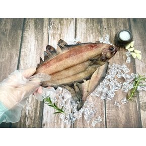 가락시장 기름가자미 5미 500g