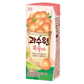 과수원 복숭아 190ml x 24개[36016333]