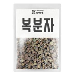 복분자 600g
