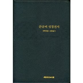 큰글씨 성경전서(개역개정/새찬송가/NKR83TU(우피)/특대/블루블랙)