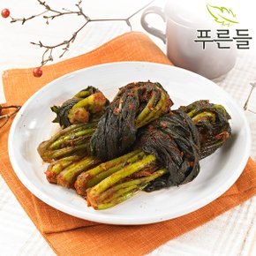 [푸른들] 양념한가득 전라남도 함평김치 여수갓김치 3kg