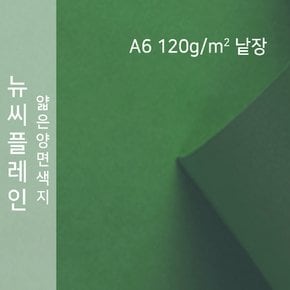 종이문화 뉴씨플레인 얇은 양면색상지 120g A6 No.61 진연두 낱장 1매 색지