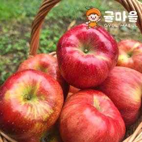 가정용 가을 빨간사과 소과 2kg 15과 내외