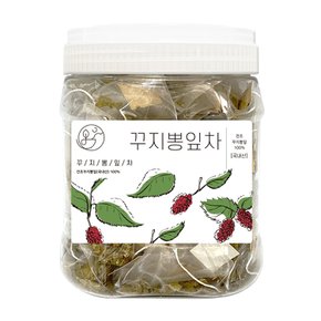 국산 꾸지뽕 꾸지뽕잎차 삼각티백 100개입 1통