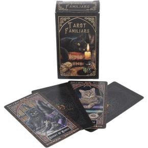 미국 신년 타로카드 Fournier Familiars Tarot Cards Multicolor 1554764