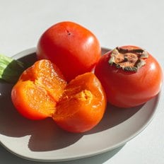 제철 청도반시 2.5kg 중대과 17-25과 후숙감 홍시 청도감 단감 대봉감