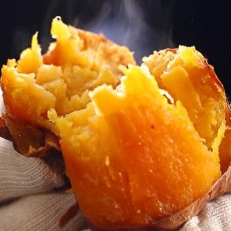 해남고구마 [G] 25년 소리팜 해남 햇 호박고구마 10kg (대)