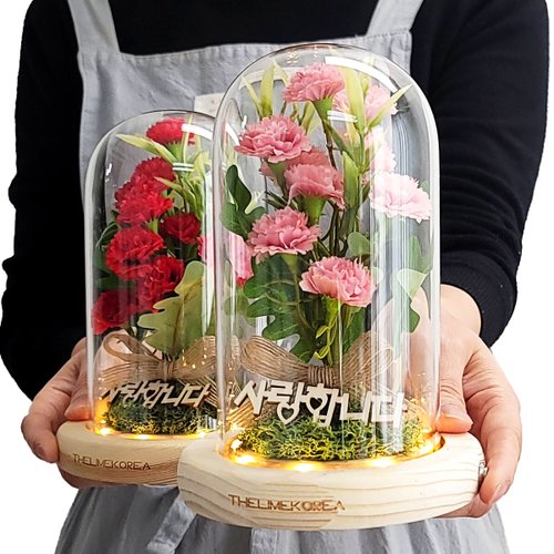 추가1이미지