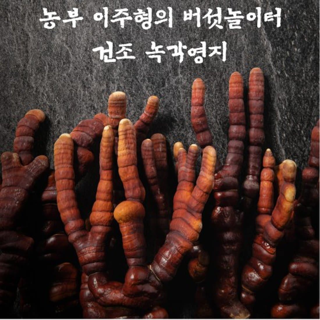 자연건조 녹각 영지 버섯 200G, 신세계적 쇼핑포털 Ssg.Com