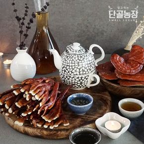 류충현버섯명장 녹각영지버섯 선물세트 2호 (250g)