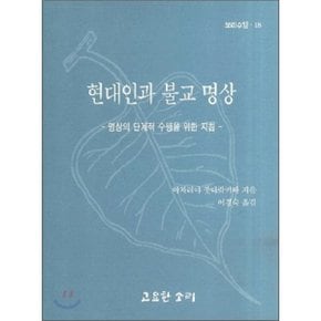 현대인과 불교 명상 : 명상의 단계적 수행을 위한 지침
