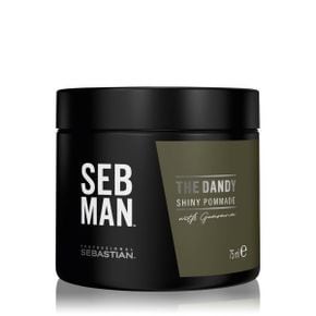 세브맨 SEB MAN 댄디 샤이니 Pommade with 과라나 스타일링크림