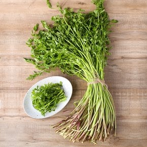 제철 나주 노안 향긋한 미나리 1kg