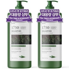 1+1 티트리 앤 로즈마리 대용량 샴푸 1500ml 화이트머스크 약산성 미용실 청소년 정수리냄새