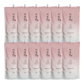 자생연 모이스처 로션 리필 900ml x 12