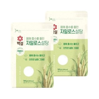 CJ제일제당 백설 하얀 자일로스 설탕 500g x2개