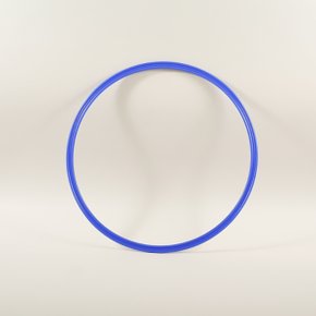 니스포 액션후프 50cm 블루
