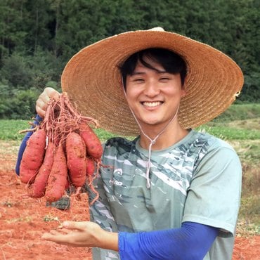 농부들의수확 [최주영님 생산]베니하루카 꿀고구마 비세척 3kg(중상/80~170g)