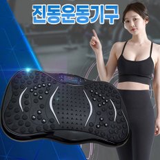 파워플라이 진동 전신 운동기구 힐링웨이브 SH-18W 파워진동 지압