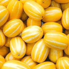  [팜쿡] 성주 참외 가정용 소과 18과내외 3kg