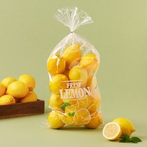 칠레산 레몬 2.1kg 봉