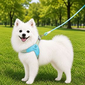 반려동물 산책 앞섬방지 가슴줄 경량 Y형 하네스[36179516]